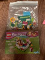 Lego Friends Badspass 41090