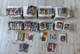Panini FIFA Score Sammlung