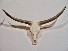 Schädel TEXAS LONGHORN STIER BULLE 126cm WESTERN DEKO SALOON