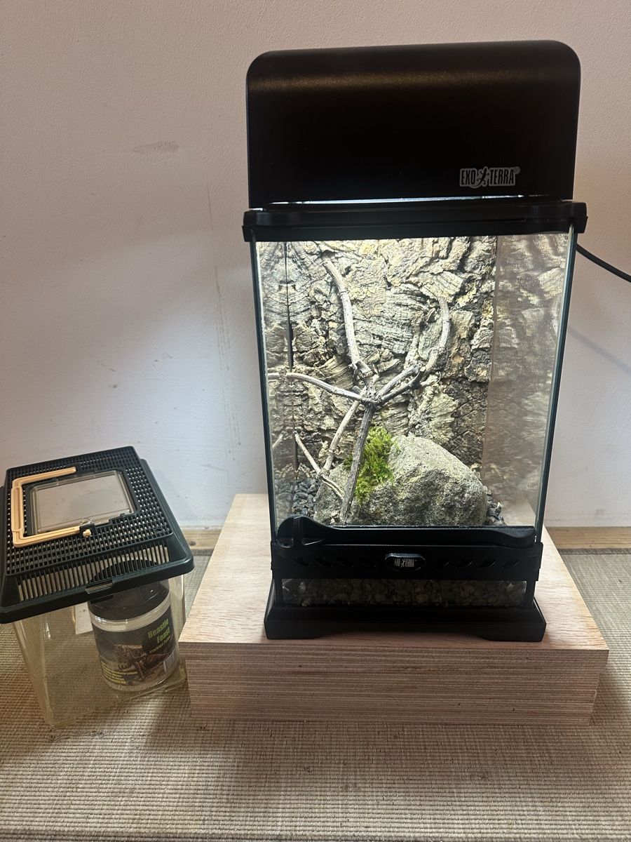 Terrario: Terrarium Exo Terra – Usato da Russikon venduto da vwbuss87 3