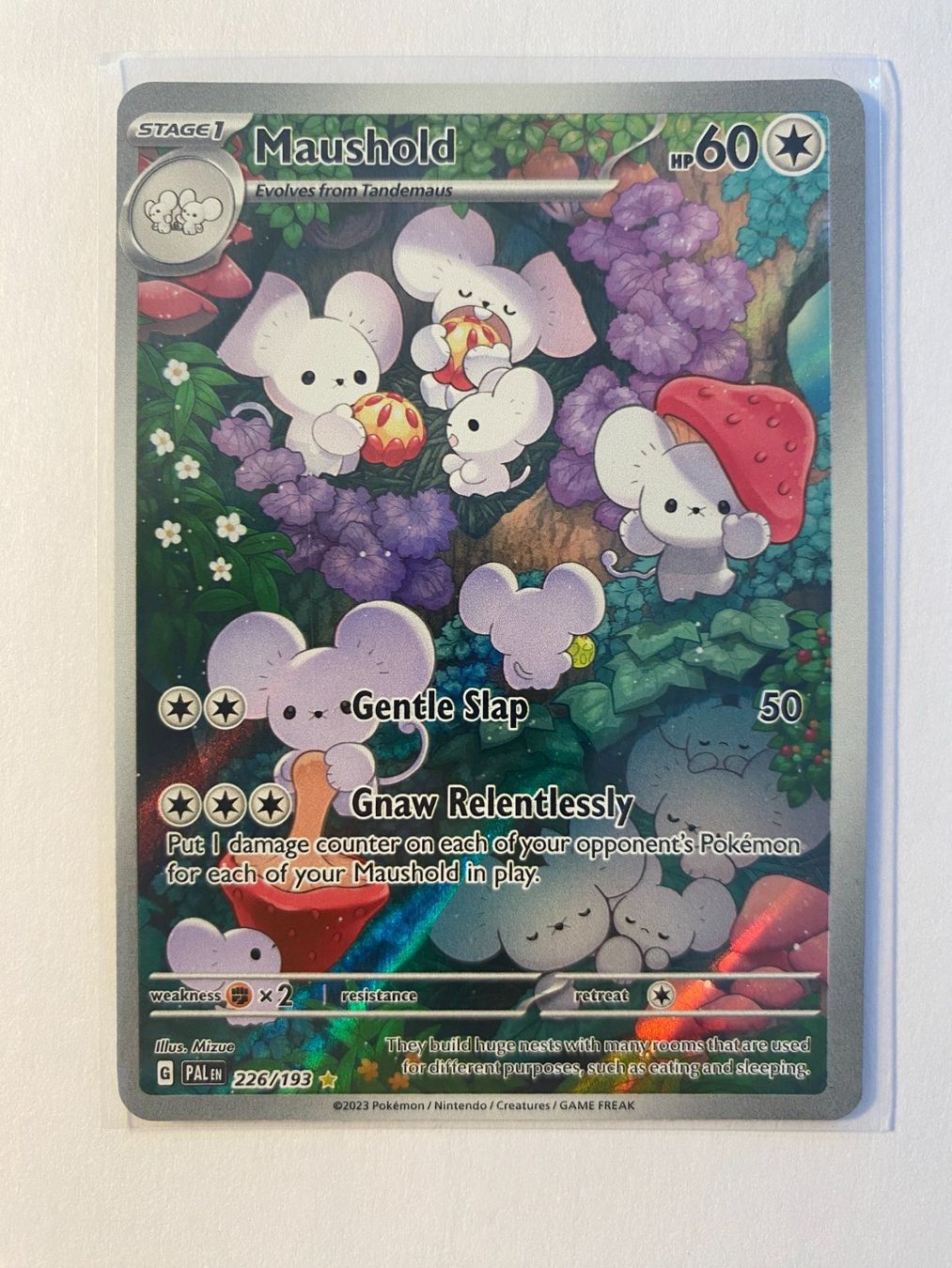 Pokémon Sammelbilder & Trading cards: Pokemon Maushold 226/193 Paldea Evolved EN – Neu (gemäss Beschreibung) aus Weingarten-Kalthäusern von