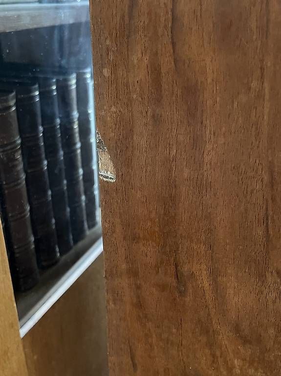 Vetrine: Antiker Vitritenschrank Jugenstil – Usato da Bern venduto da Chramonn 2