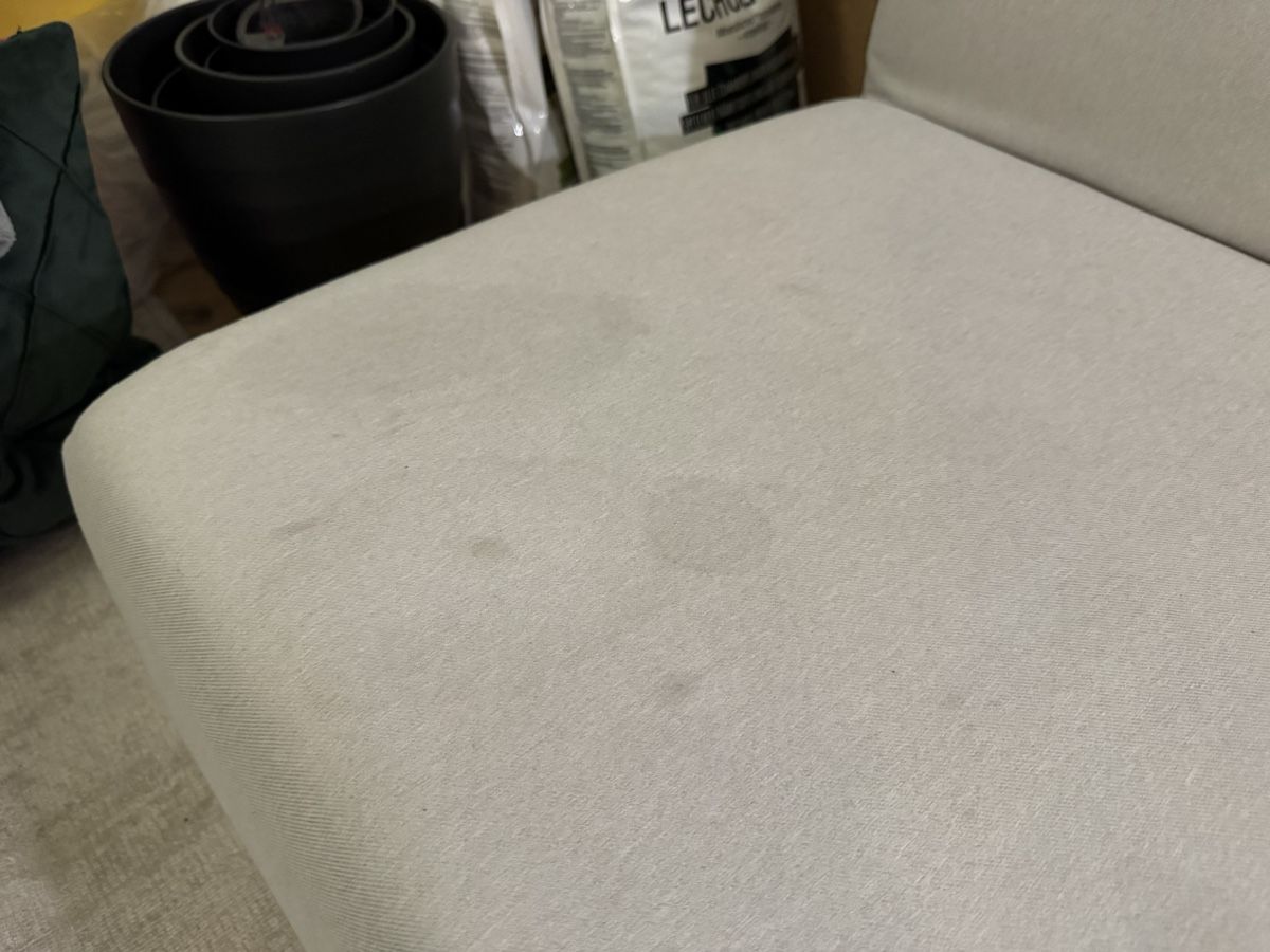 Divani: Sofa Freistil Rolf Benz 141 hellgrau – Usato da Zug venduto da fpv.stef 6