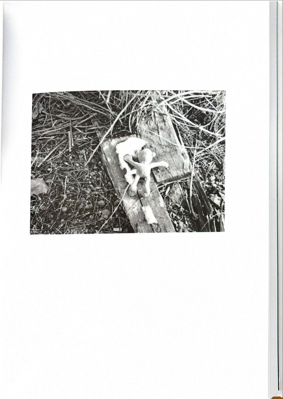 Libri: Eberhard Peter, Oktaeder - Spy-cam Sketches – Nuovo (secondo la descrizione) da Sarnen venduto da Livres 9