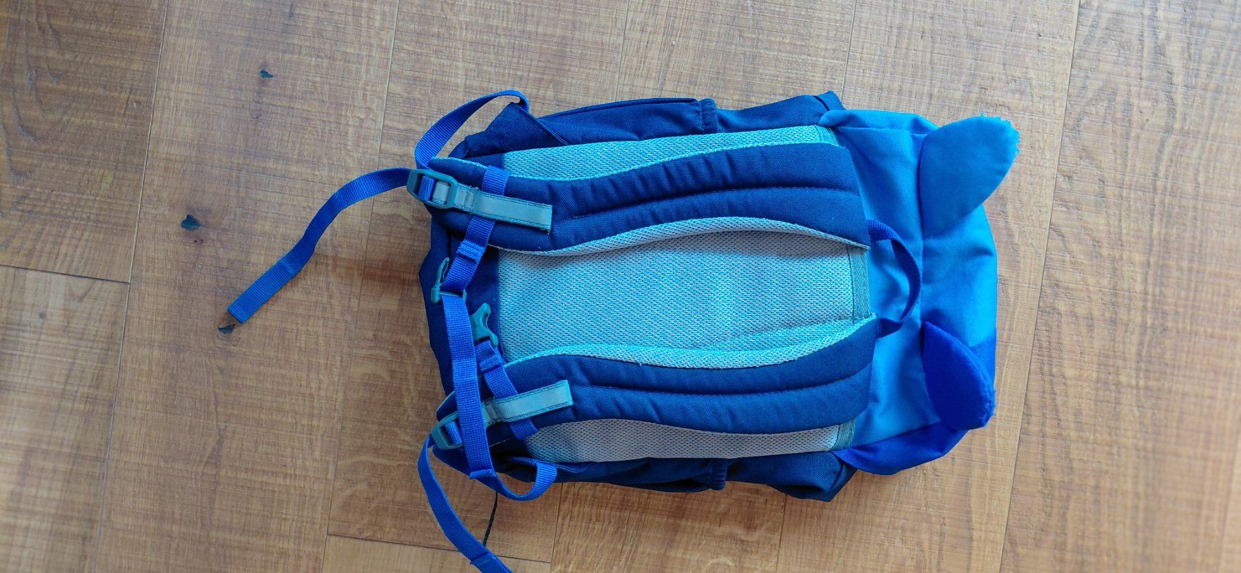 Deuter Sacs & sacs à dos: Kinderrucksack – D'occasion à FLÜELI-RANFT par Wuenderli 1