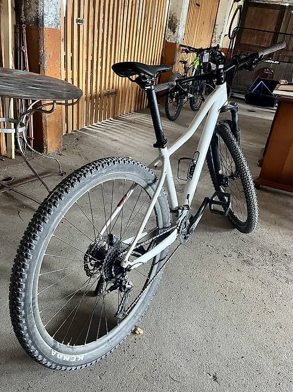 Biciclette: Mountainbike Damen – Usato da Maienfeld venduto da len_2mhp 2
