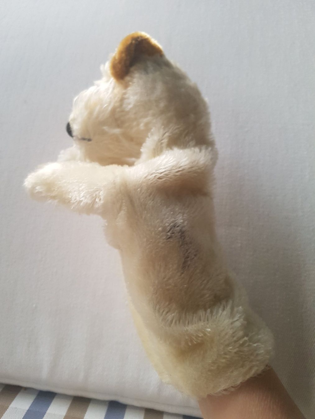 Steiff Giocattoli: Steiff Vintage Handpuppe Foxy – Usato da Chur venduto da Okapi77 7