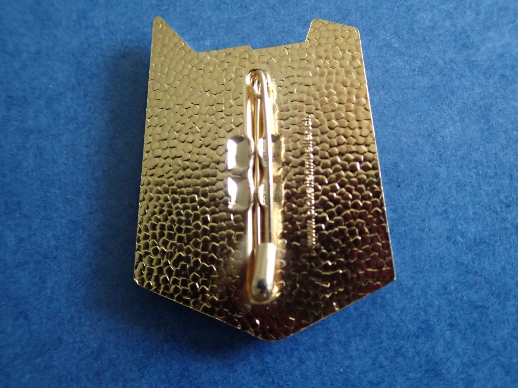 Basler Placchette & Badge: Blaggedde GOLD  2020 – Usato da Allschwil venduto da Salus17 1