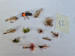 12  Verschiedene Fliege  Nymphen