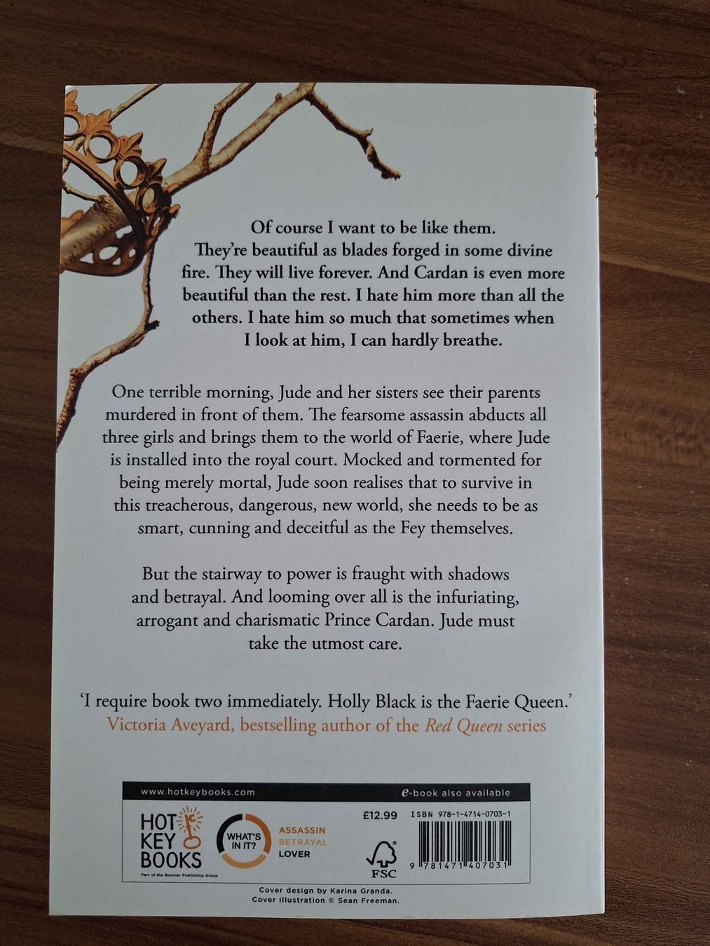 Bücher: The Cruel Prince – Neu (gemäss Beschreibung) aus Grenchen von LadyCalis 1