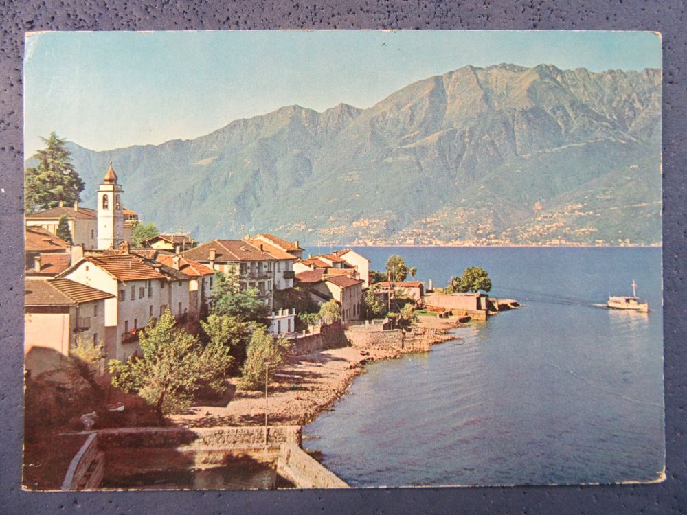 AK TI GERRAGAMBAROGNO BESTOSSEN BUGS Kaufen auf Ricardo