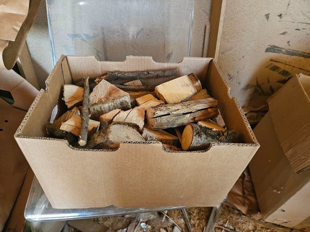 Articoli in legno: 1 kiste brennholz – Usato da Böttstein venduto da dic_szf8