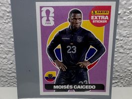 Panini Extra Sticker ECU Moises Caicedo