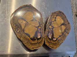 Opal Yowa Nuss Boulder Opale Rarität Australien Unikat