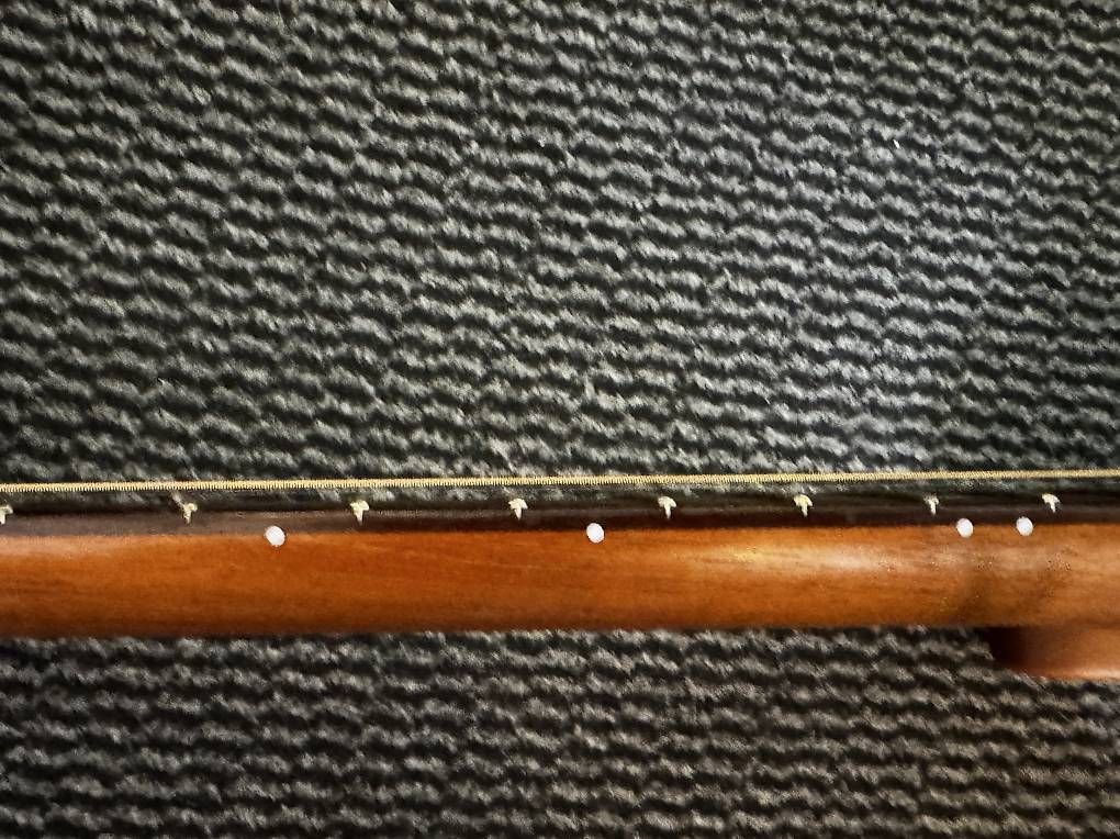 Strumenti musicali: Fender Player Acoustasonic Telecaster – Usato da Morges venduto da GvnMusic 3