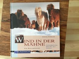 Wind in der Mähne, Islandpferde - Pferde der Götter