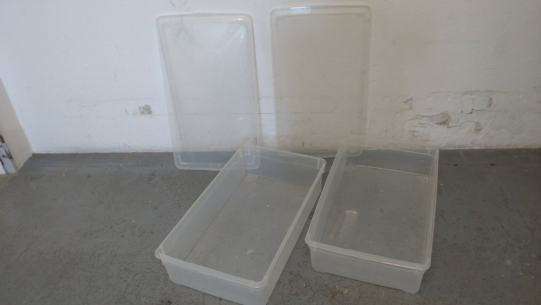 Transportkisten: 2 grössere flache Plastikkisten mit Deckel – Gebraucht aus Zürich von blaumeisli62 1
