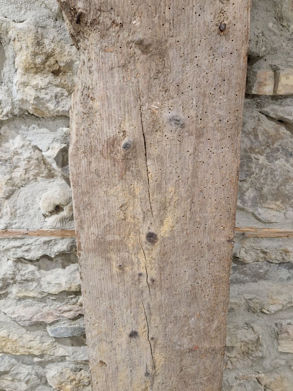 Articoli in legno: Altes Holzbrett. 1851 – Usato da Rietheim venduto da broethli 5
