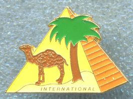CAMEL  INTERNATIONAL