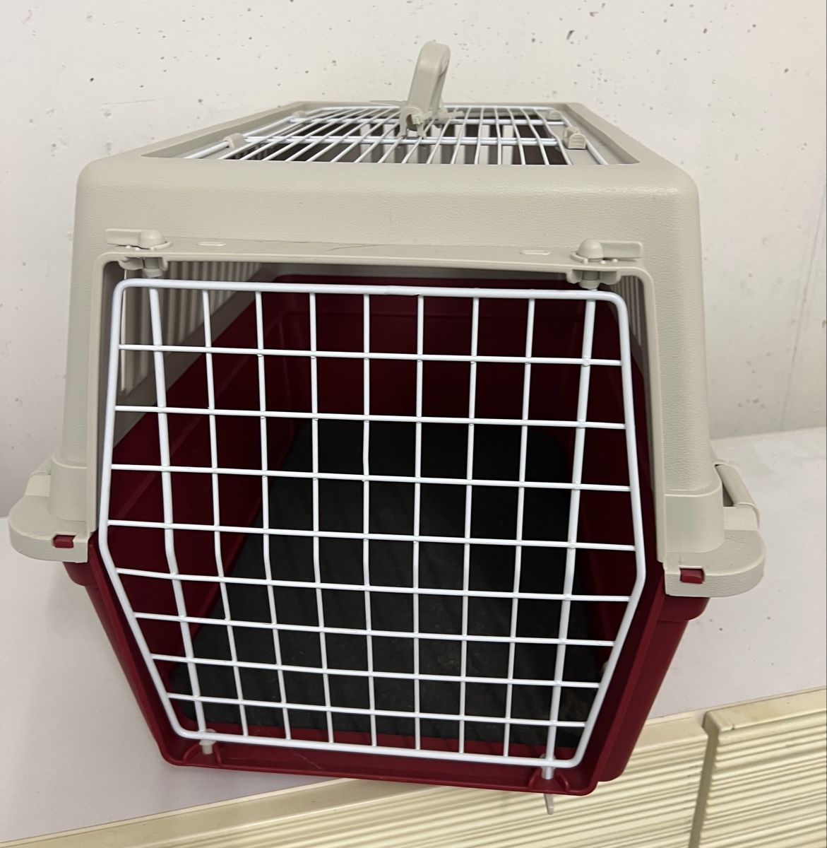 Käfige, Transport & Sicherheit: Transportbox für Tiere – Gebraucht aus Büttikon AG von Jahacymipa.01 1