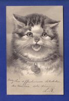 CHAT - Carte gauffrée