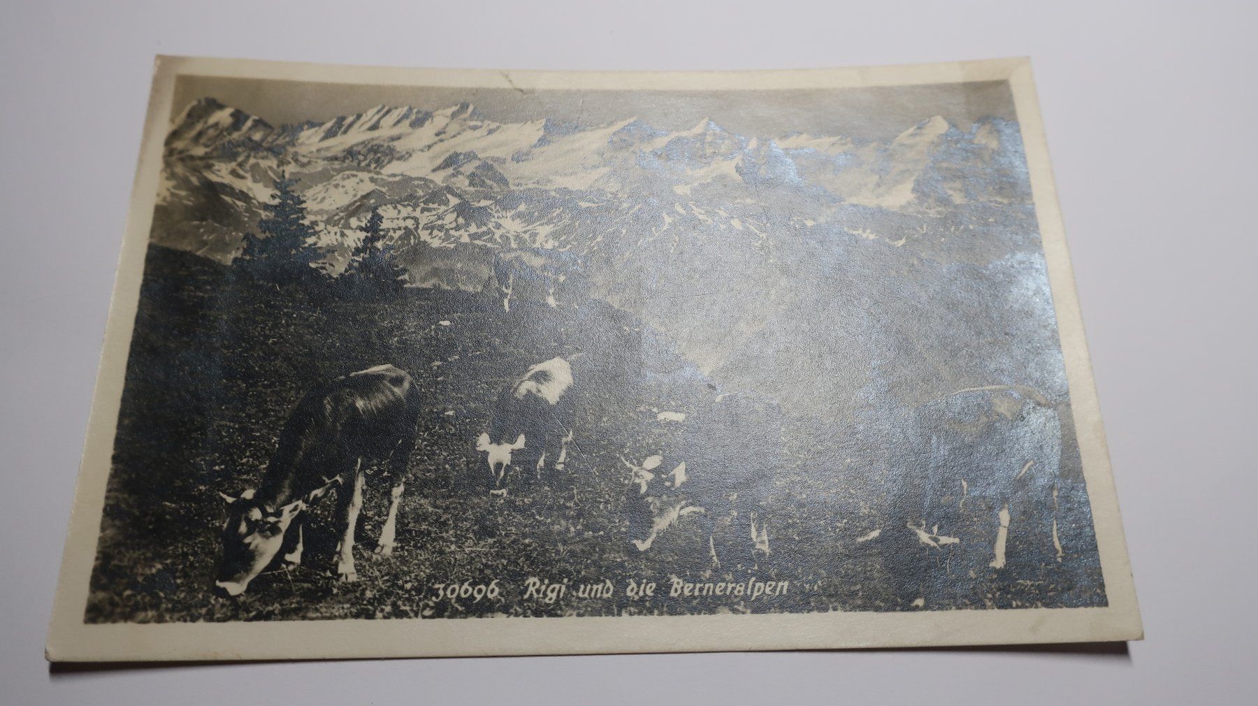 Cartoline postali: Rigi und die Berneralpen  1924 – Usato da Cormoret venduto da Pascalll2001 1