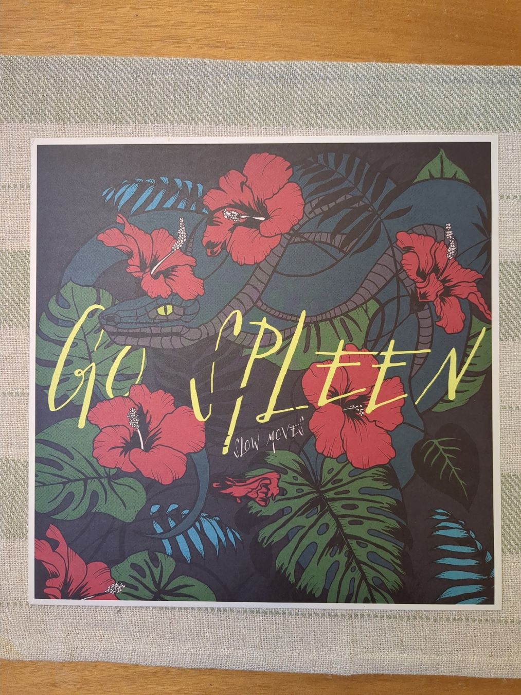Dischi in vinile: Go Spleen - Slow Moves – Nuovo (secondo la descrizione) da Euseigne venduto da Barbichette