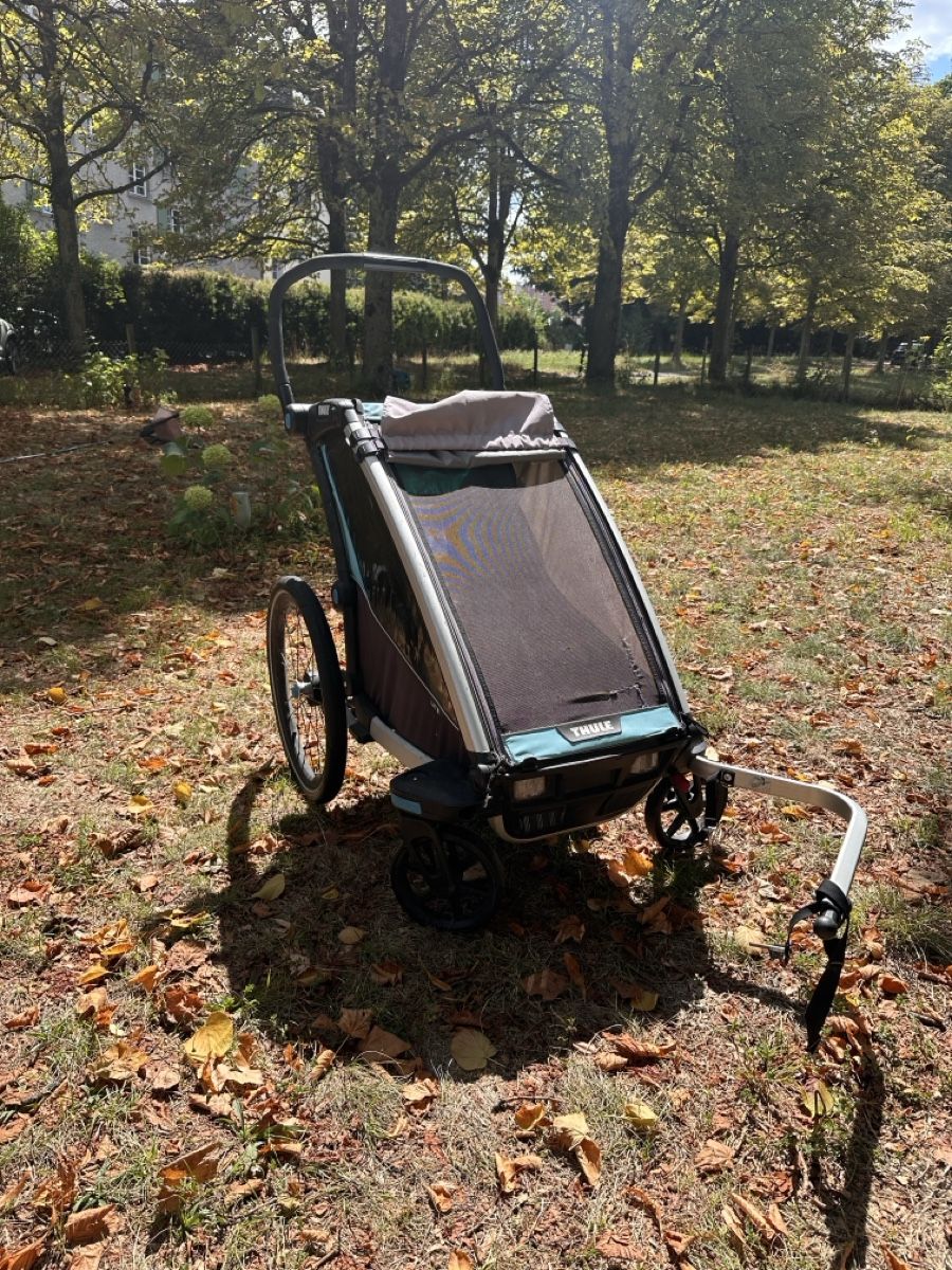 Thule Rimorchi: Thule Chariot Lite gebraucht – Usato da Bern venduto da phi_m8kt