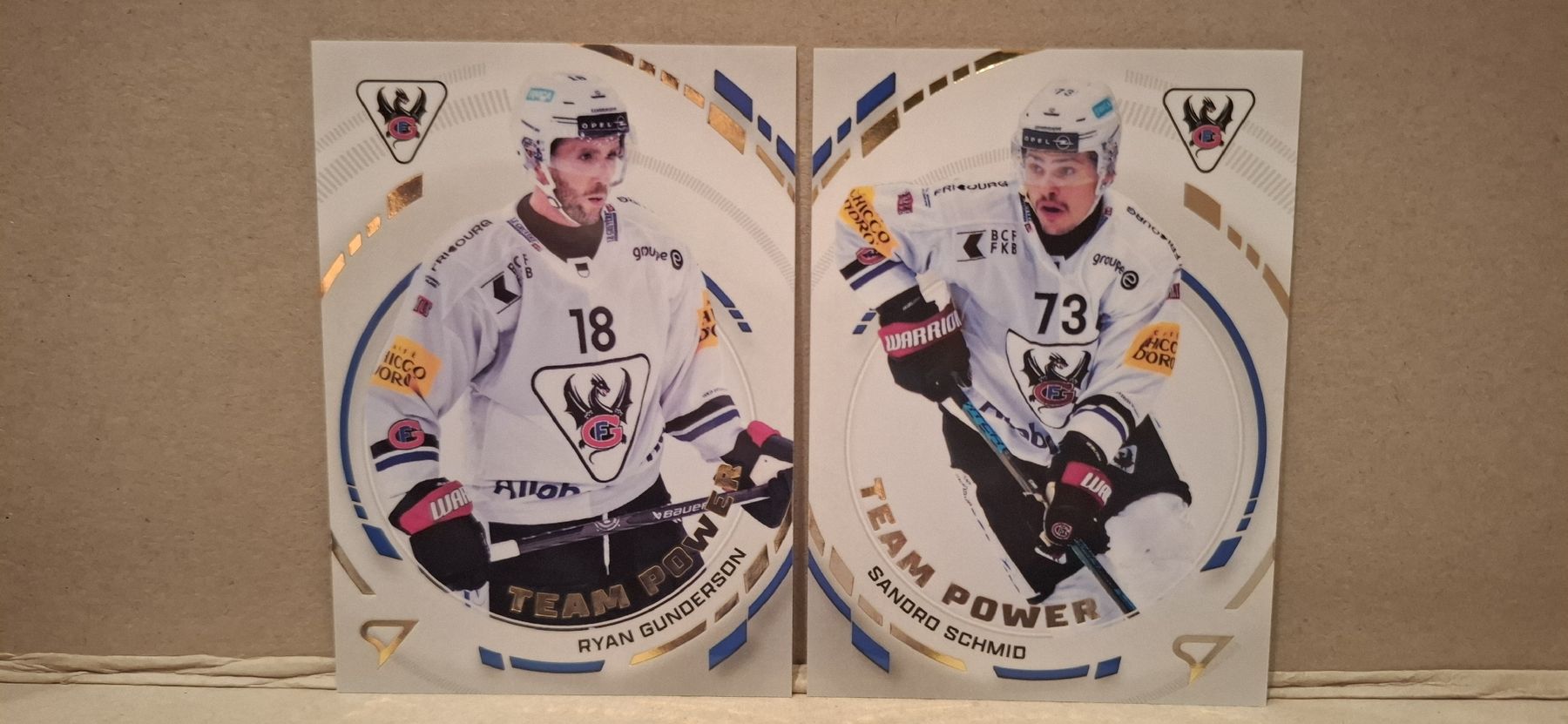 Sportzoo Carte collezionabili: Carte Team Power Fribourg – Nuovo (secondo la descrizione) da Aigle venduto da vir_lb2c