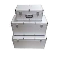 Ayce Aluminium Koffer-Set | 3 Stück