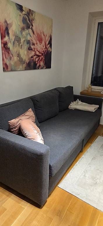 Sofas: Couch mit Schlaffunktion – Gebraucht aus Chur von tol_xvw8