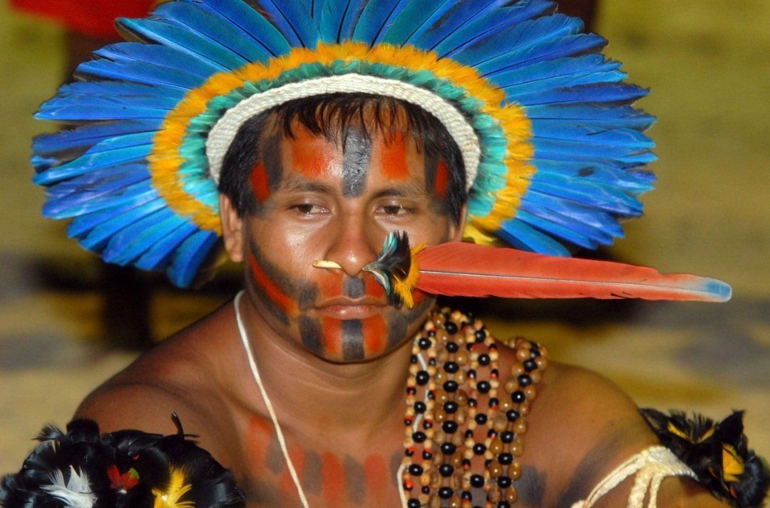 Il mondo degli animali: Plume d'ara décorative d'amazonie – Usato da Biel/Bienne venduto da guyw 3