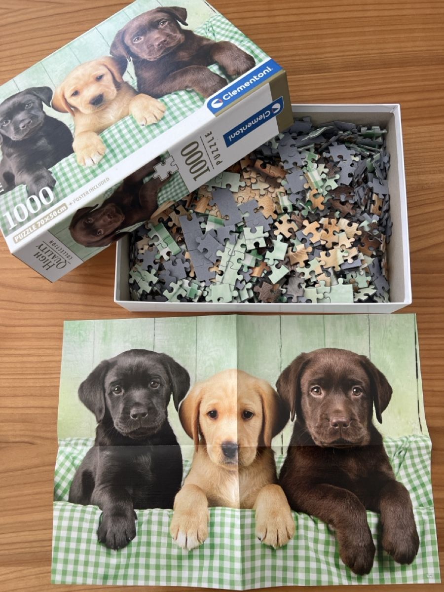 Clementoni Puzzle: Puzzle 1‘000 – Usato da Roggliswil venduto da momisch 1