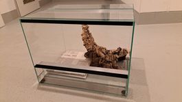 Schiebetür Glasterrarium 40x30x30cm