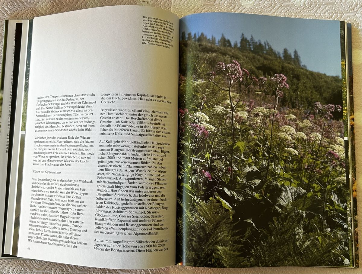 Libri: Die Wiese lebt, Silva-Verlag 1992 – Usato da Lengnau BE venduto da AgriOttu 2