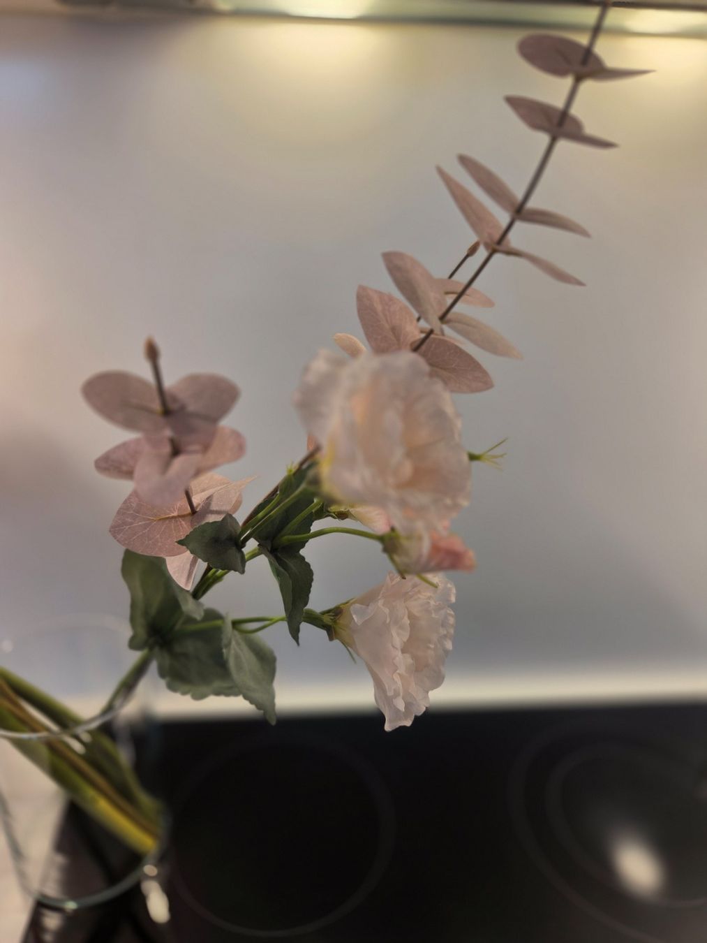 Plantes & graines: Blumen plastik – D'occasion à Zürich par Lela-Mirela 1