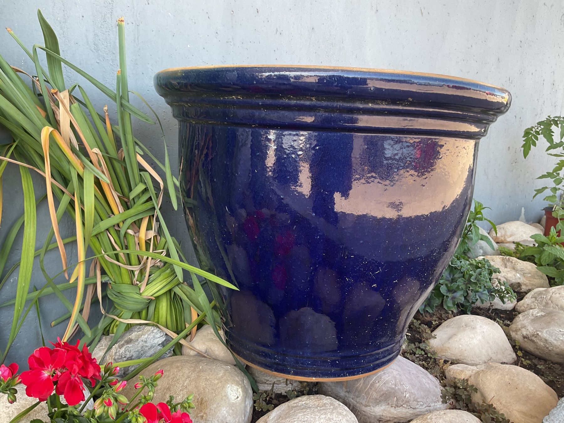 Pots de fleurs: Pot de fleurs – D'occasion à Neuchâtel par sta_7qfy 3
