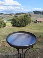 Pflanzenschale aus Schmiedeisen 