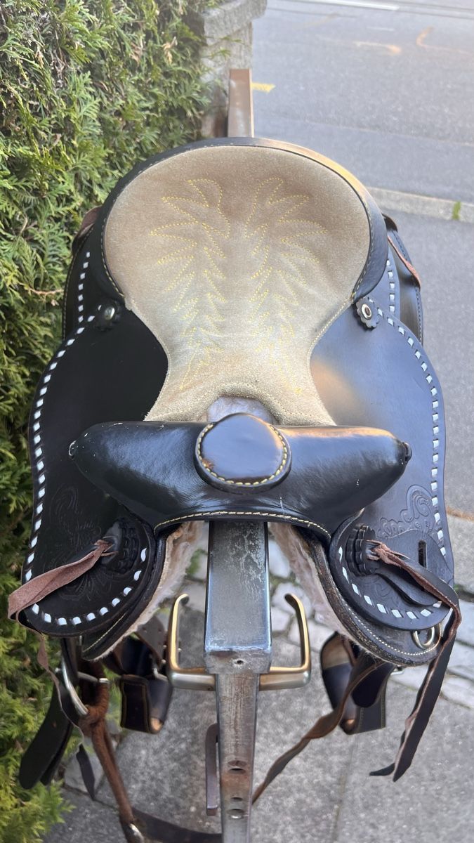 Selle & Accessori: Spielsattel Pastorini  – Usato da Winterthur venduto da man_92zz 1