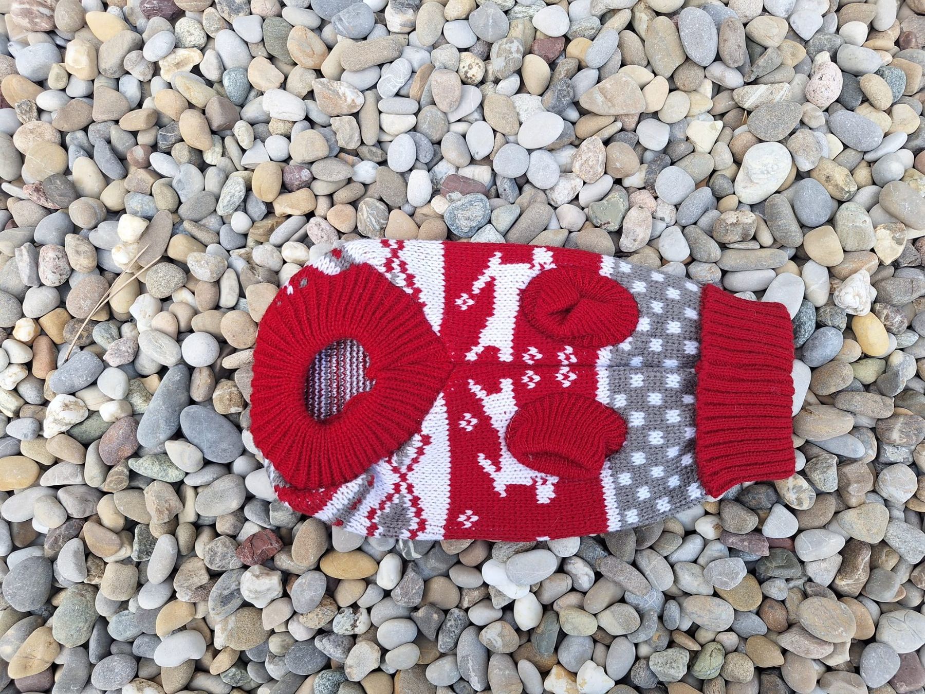 Vêtements: Hunde Pullover 21 cm – Neuf (Voir description) à Forch par merlotpomerol
