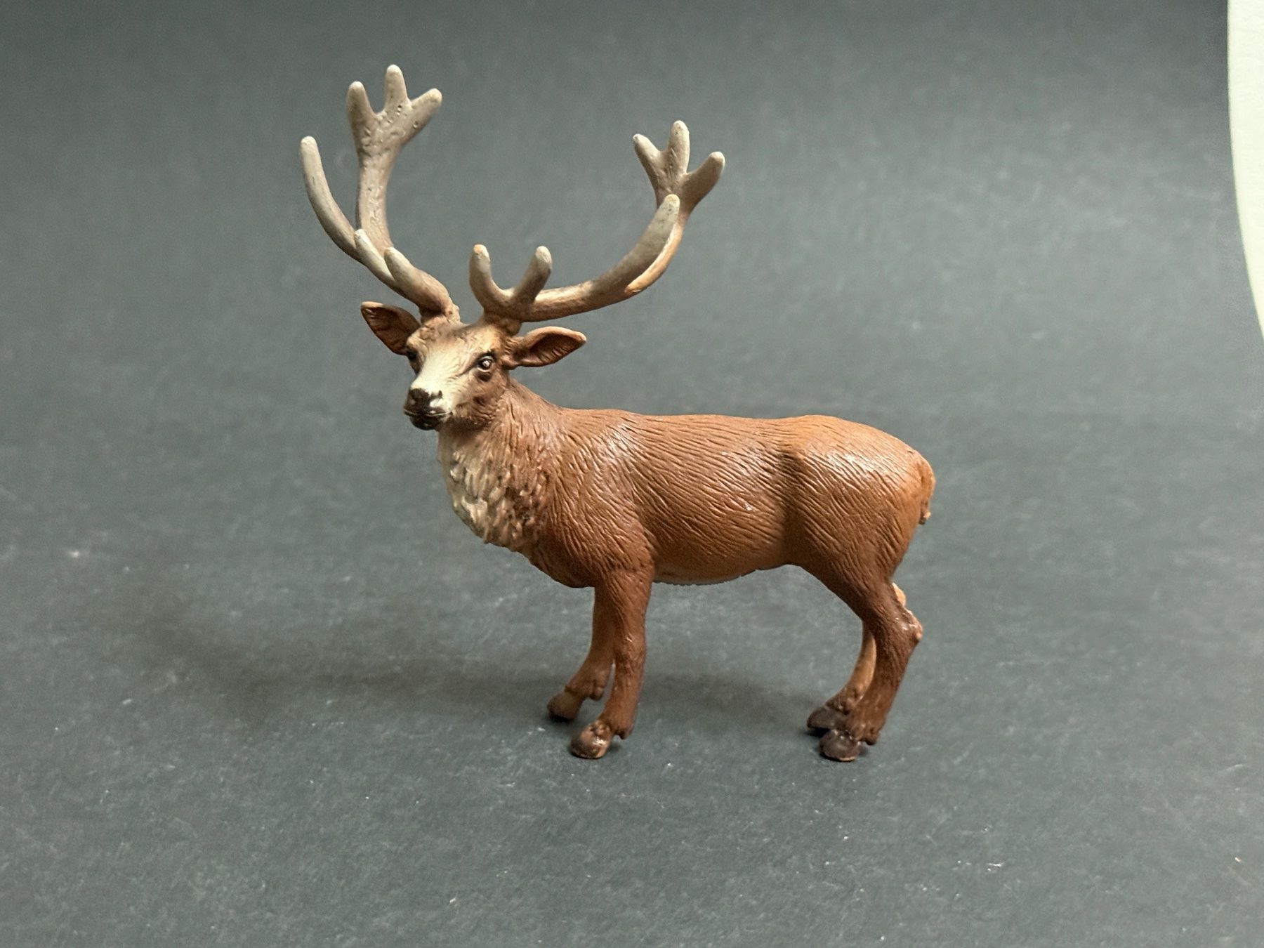 Schleich Figuren: Schleich Rothirsch Hirsch Kalb Kuh – Gebraucht aus Ennetbaden von mapa05 2