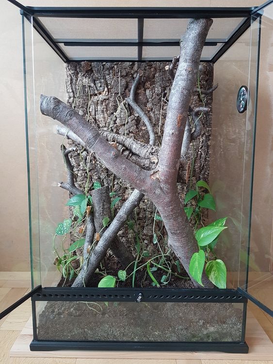 Exo TerraTerrarium "Medium/XTall" 60x45x90 cm Kaufen auf Ricardo