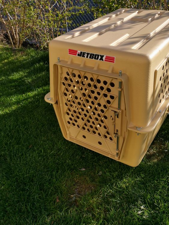 Flugbox ECO JETBOX 2 (grosse Flugbox) Kunststoff (Kt.AARGAU) (Gebraucht ...