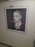 3xBild