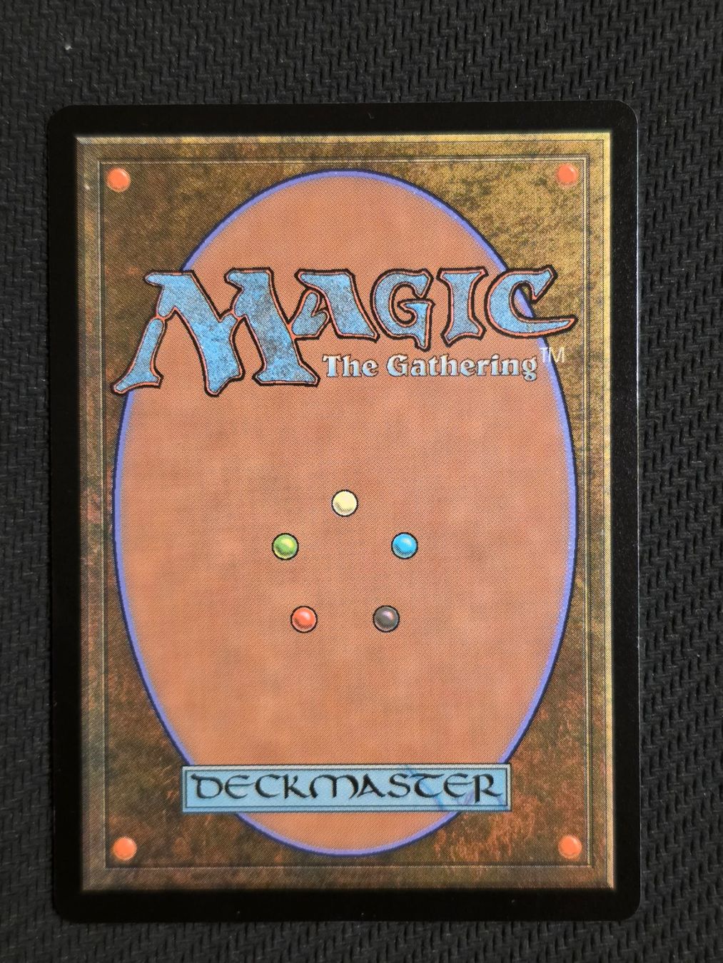 Magic The Gathering Carte collezionabili: Wolf Token  -  MTG – Usato da Zürich venduto da Semagets 1
