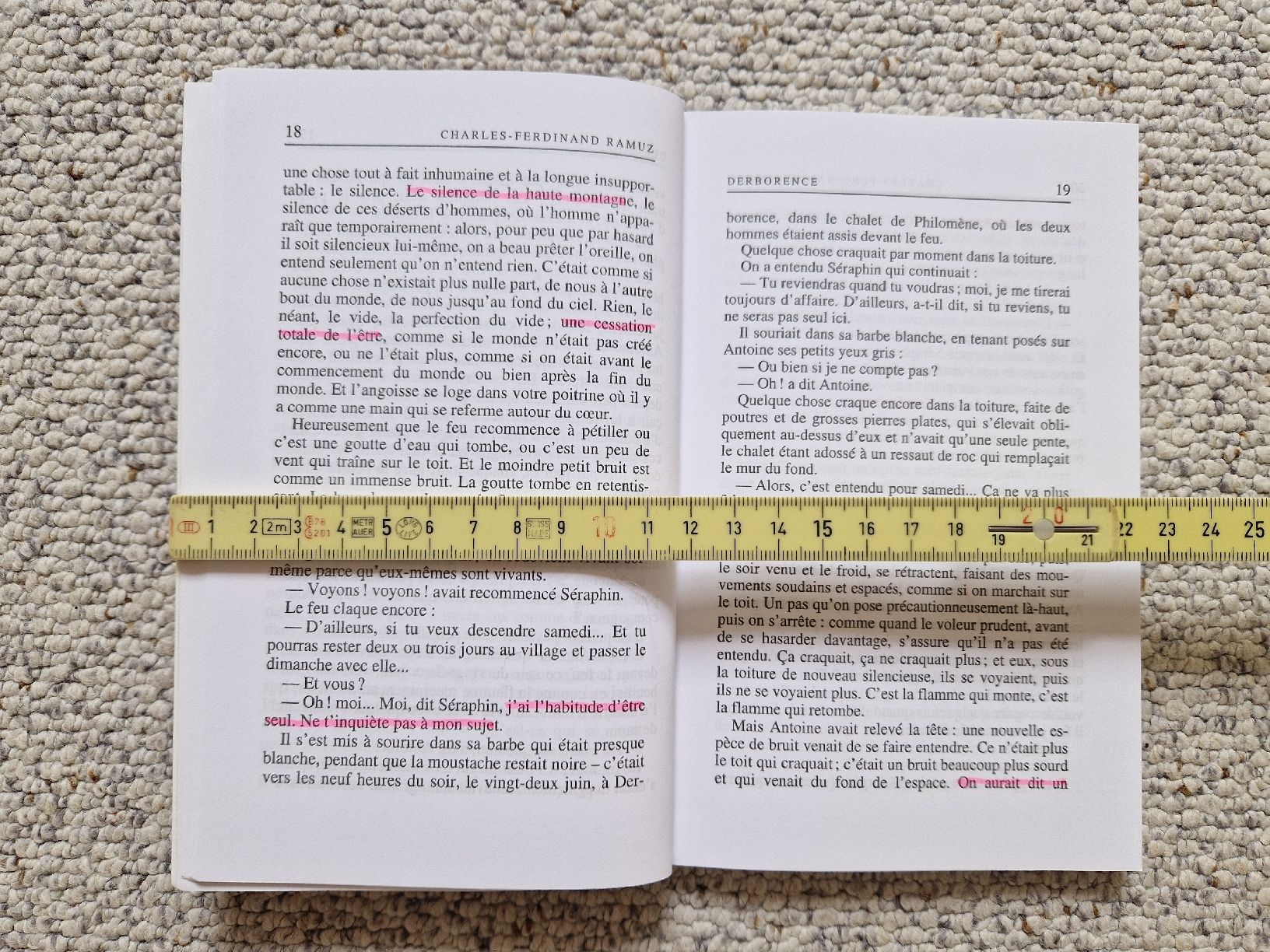 Bücher: Derborence - Charles-Ferdinand Ramuz – Gebraucht aus Hettlingen von mat_8pg6 2