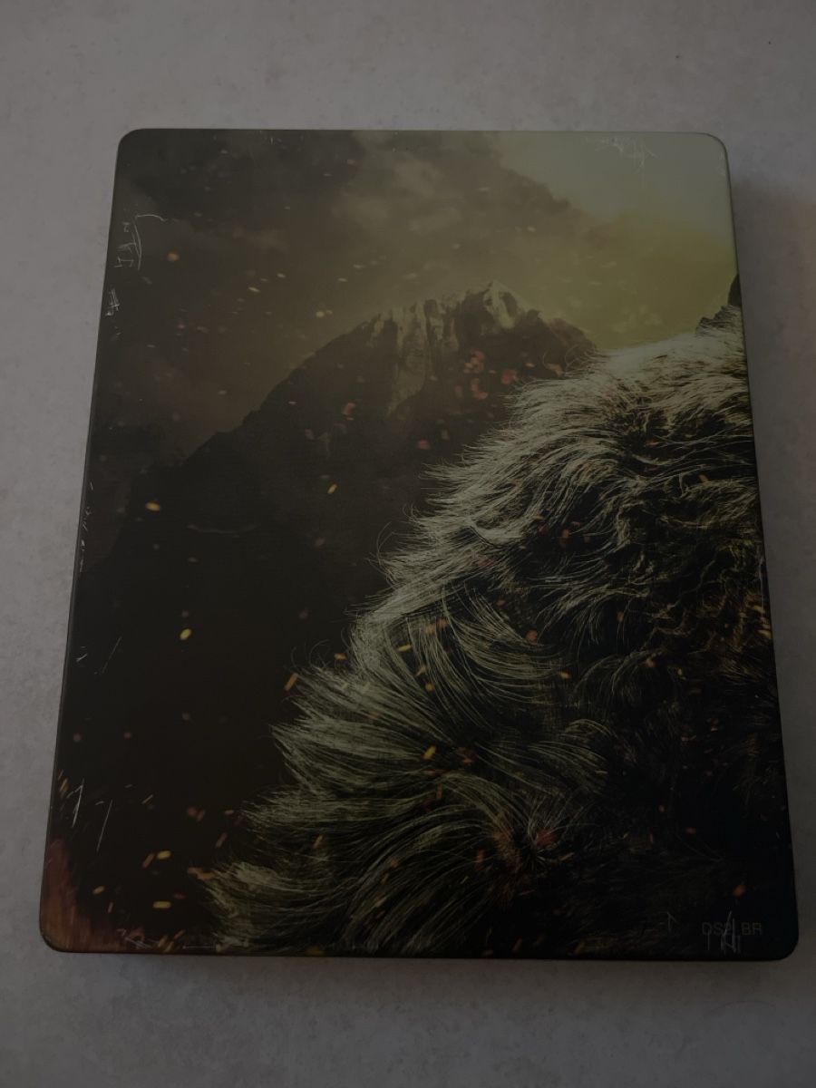 Sony Giochi: dark souls 2 ps3 steelbook – Usato da Suhr venduto da SchnapperCH 1