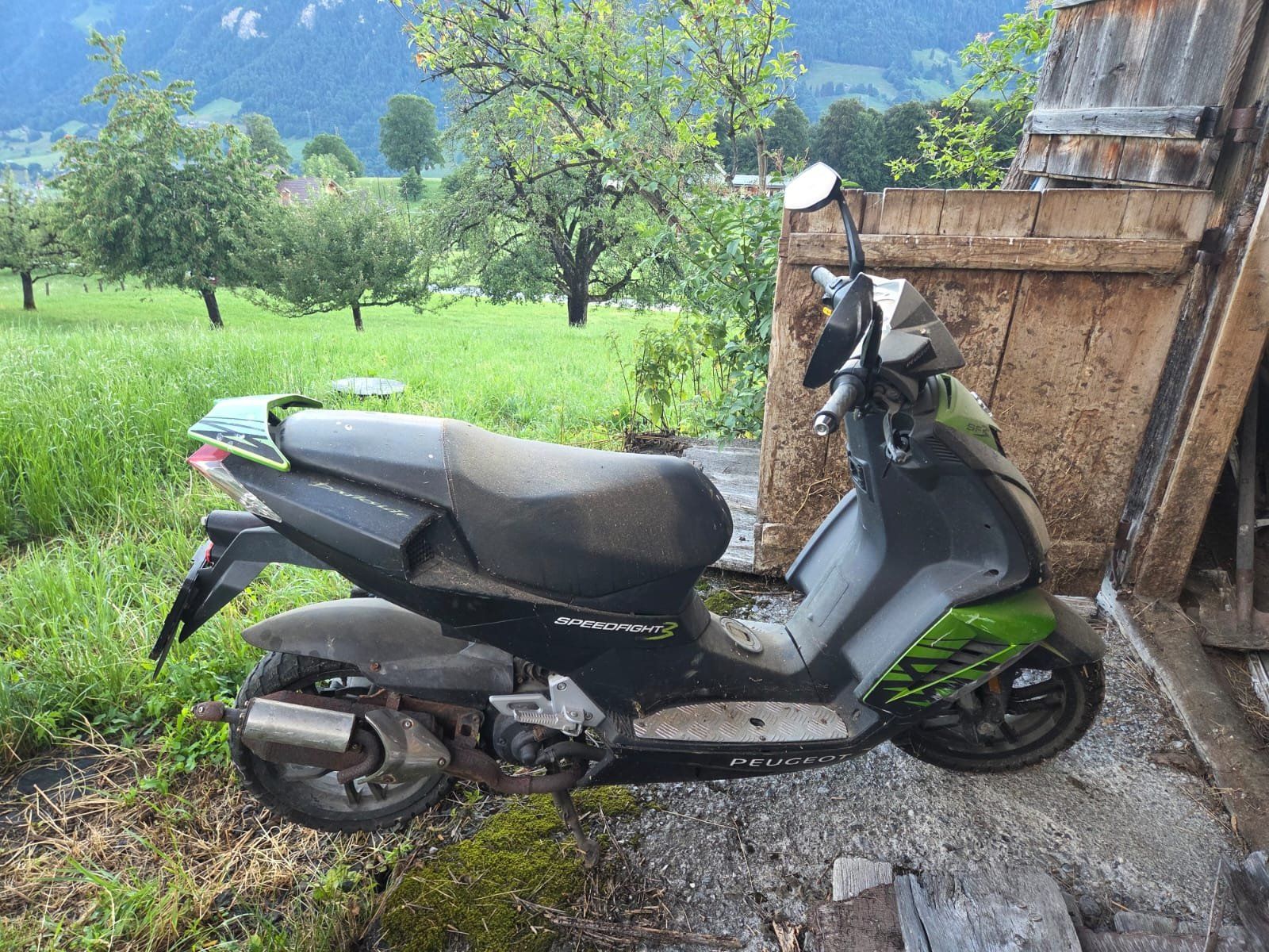 Peugeot Scooter: Peugot Speedfight Roller – Usato da Scharnachtal venduto da von_Kaenel 1
