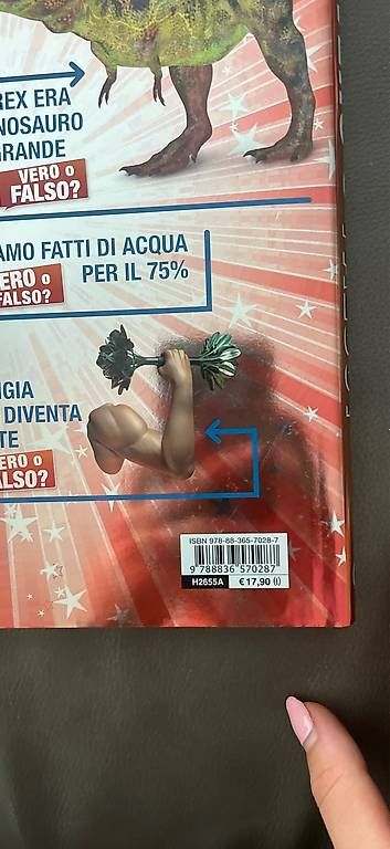Bücher: Domande e risposte e Vero o Falso? – Gebraucht aus Tenero von loa_7m8d 2