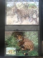 Belize 1983 WWF Satz Jaguar Maximumkarten